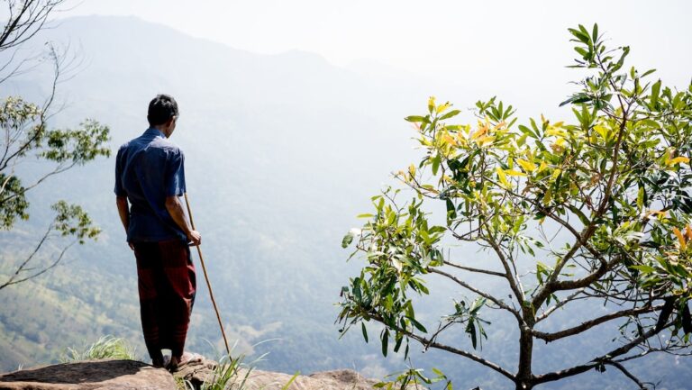 Digitalizacja procesów rekrutacyjnych - przewodnik HR